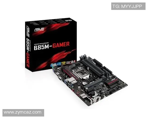 高校联赛分析：FPX在比赛中的耐力与策略表现全面解读